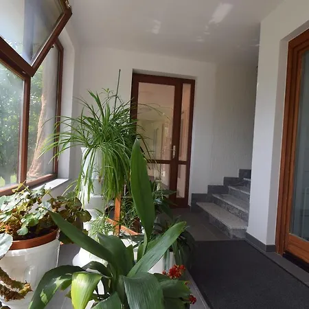 Apartment Mirjana