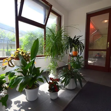Apartamento Mirjana Malinska