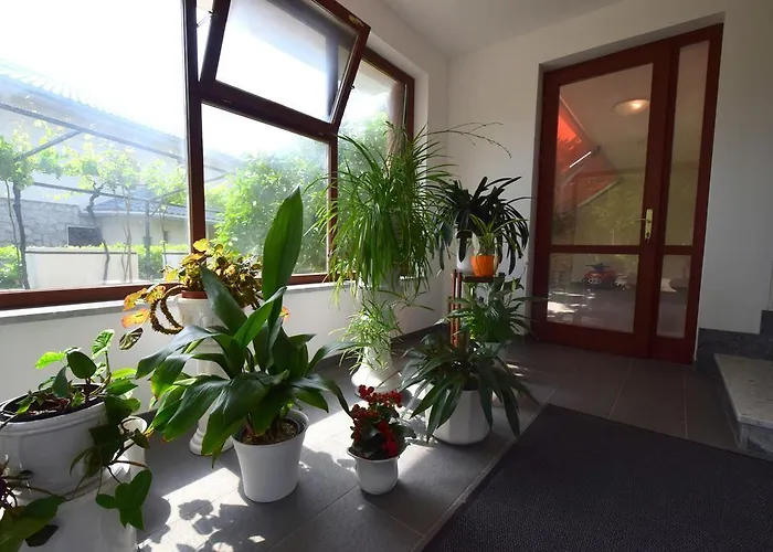 Apartman Mirjana Malinska